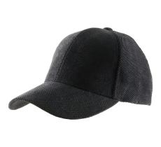 Wegener Basecap