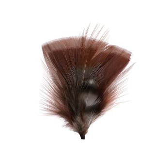 Plumes pour chapeau Hat Feather