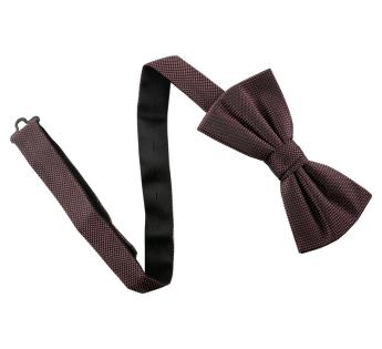 Noeud papillon Bowtie Silk